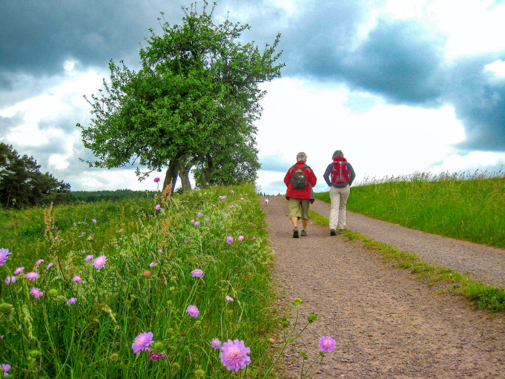 Der Eifelsteig  ist als Premiumweg ausgezeichnet