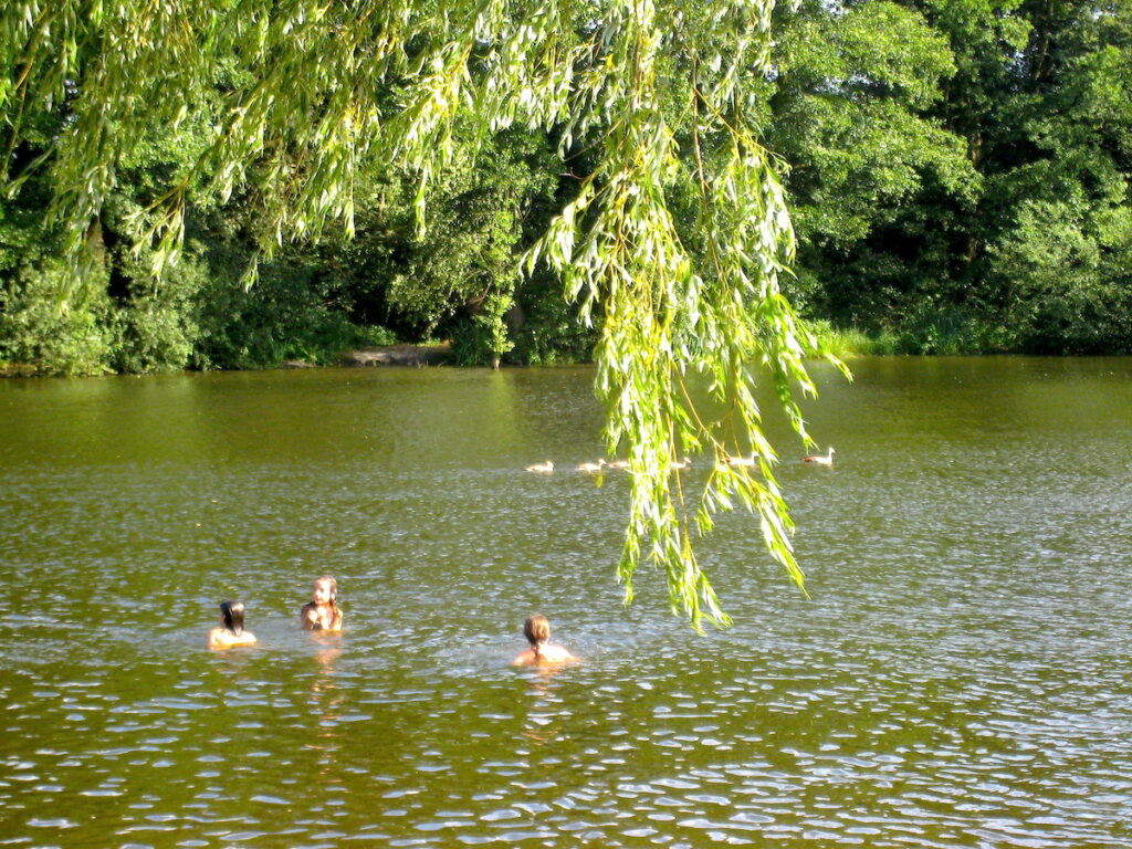 Der idyllische Heidweiher am Niederrhein 