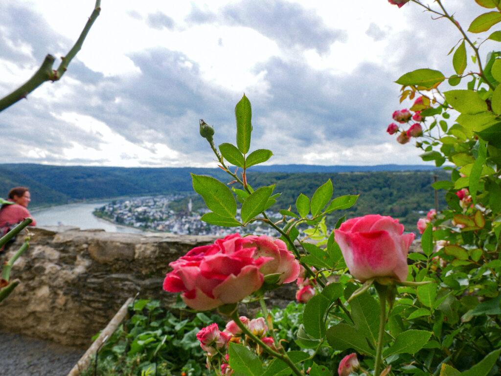 Blick von der Marksburg auf den Rhein - einer der schönsten Aussichtspunkte bei einem Urlaub in Rheinland-Pfalz