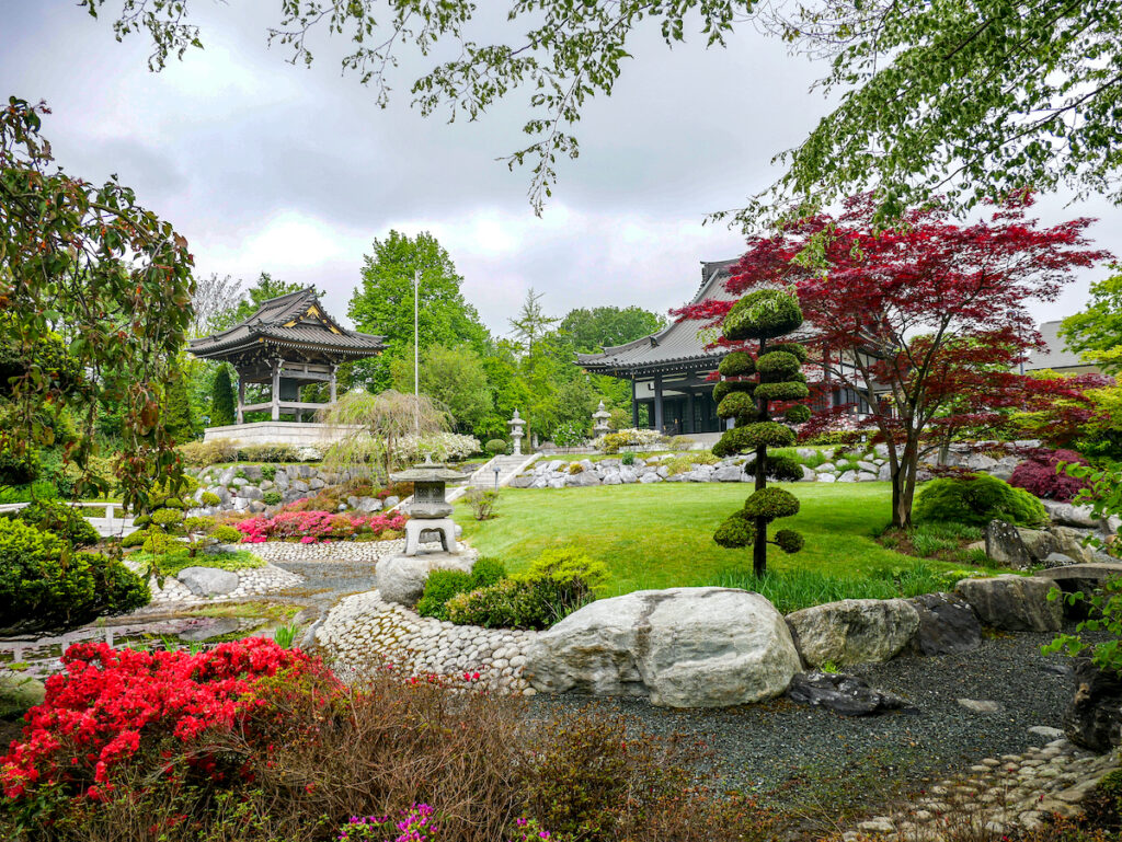 Der wunderschöne Garten des japanischen Tempel in Düsseldorf kostet keinen Eintritt.