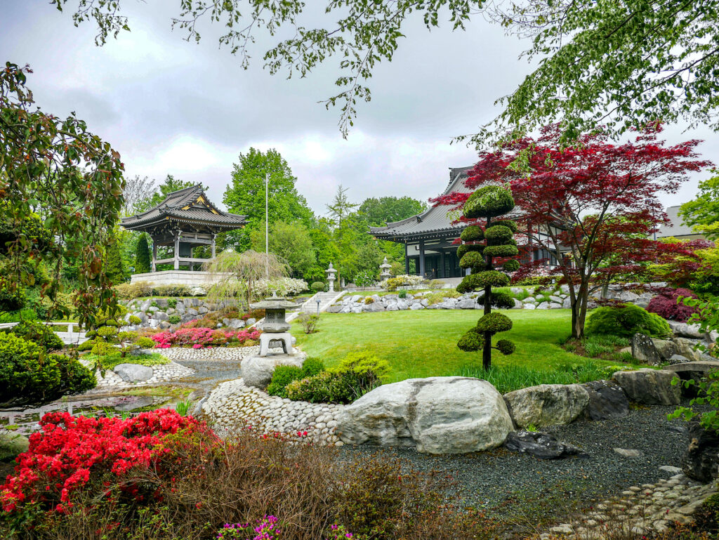 Der spektakuläre japanische Tempel in Düsseldorf