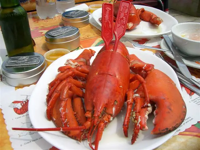 Lobster sind in Nova Scotia ein Arme-Leute-Essen