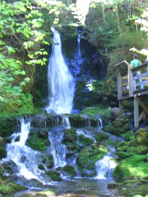 Der spektakuläre Fundy-Trail in New Brunswick