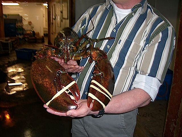 Touristenattraktion in Atlantik-Kanada