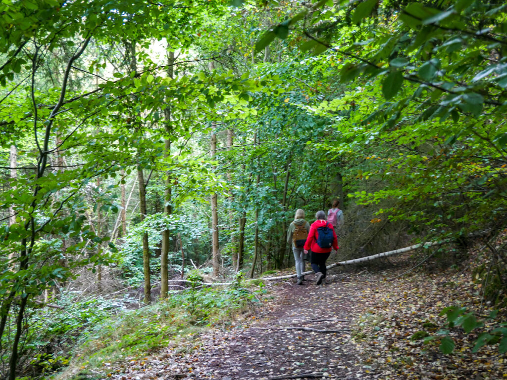 Wandern im Nationalpark Kellerwald-Edersee, der zum UNESCO Weltnaturerbe zählt