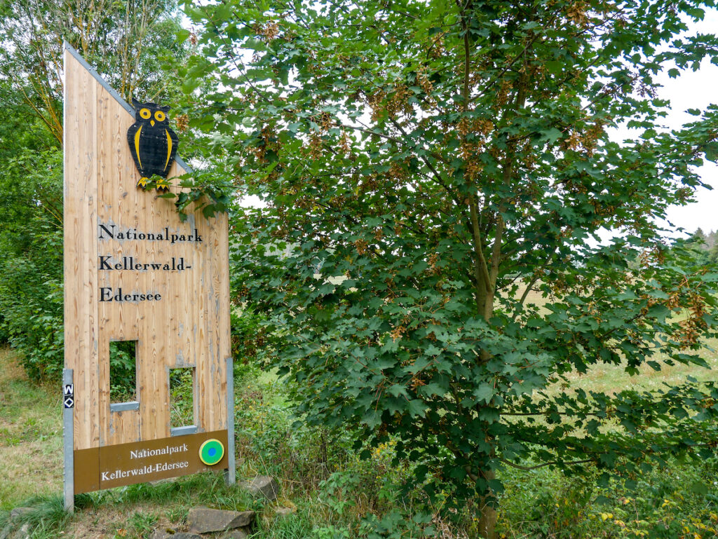 Der Nationalpark Kellerwald-Edersee