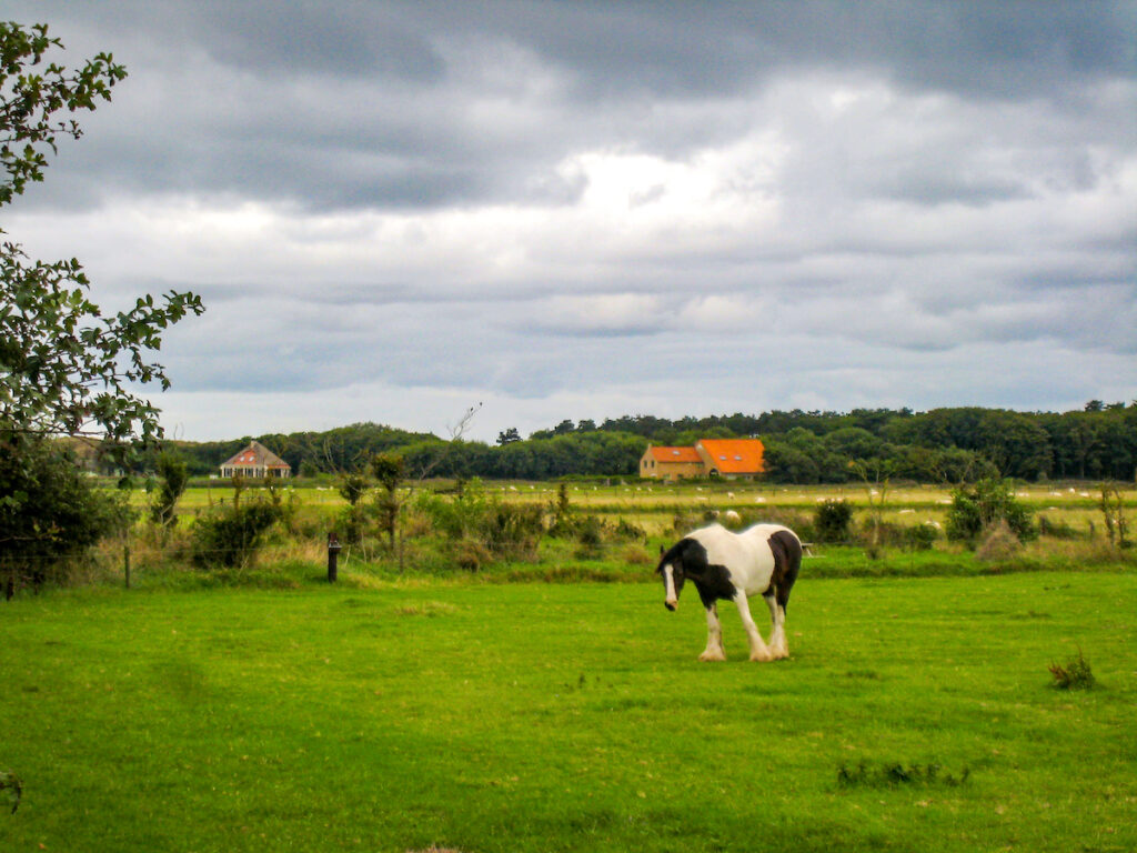  Holland im Herbst - auf Texel kehrt Ruhe ein 