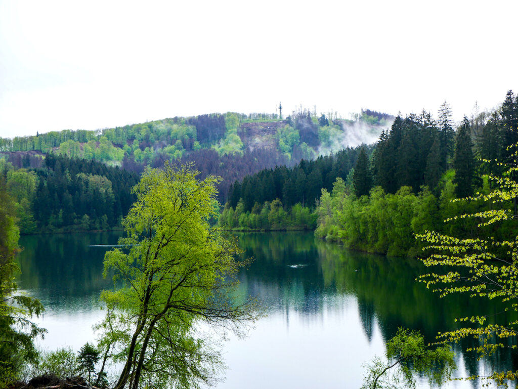 Rundwanderweg an der Genkeltalsperre im Sauerland 