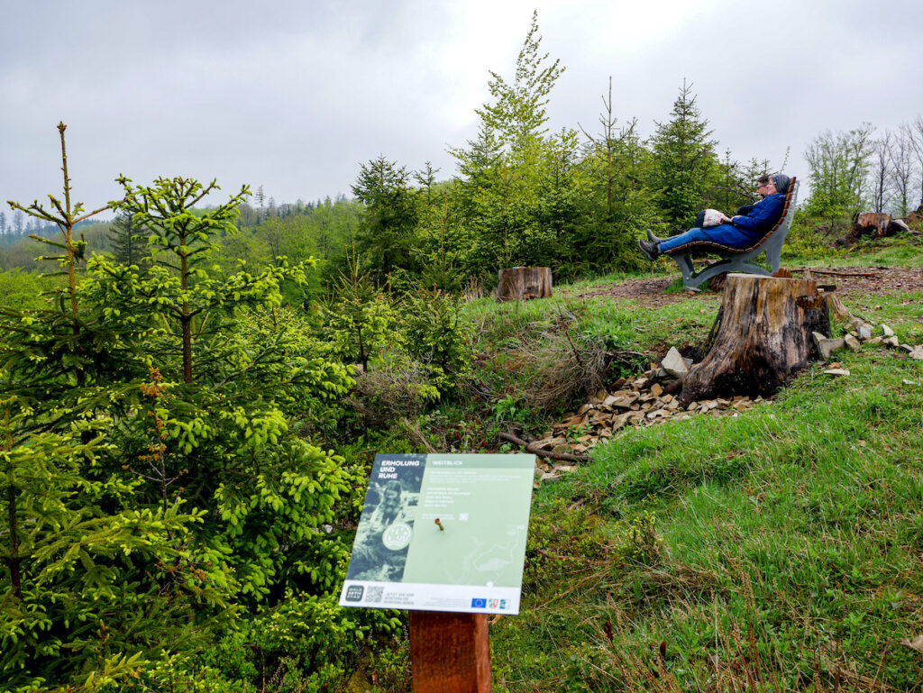 Waldsofa an der Genkeltalsperre