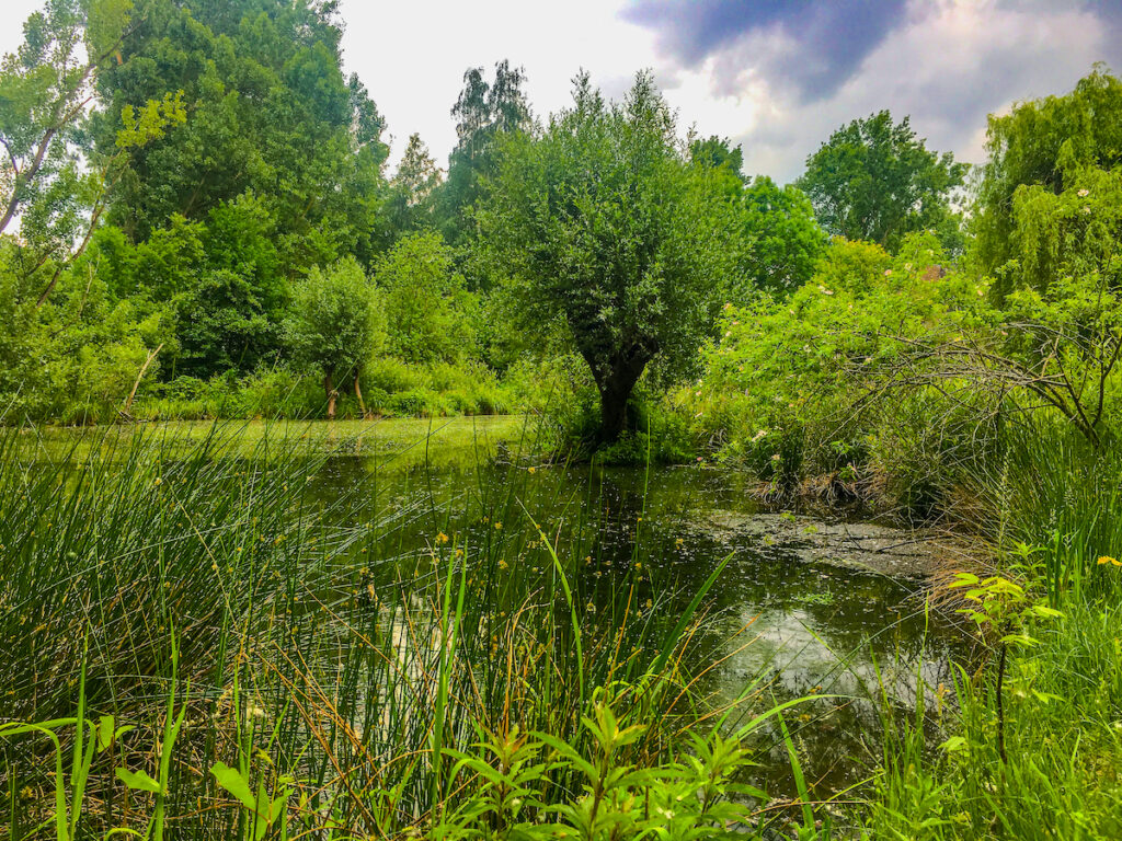 Märchenhafte Landschaft auf der Museumsinsel Morsbroich