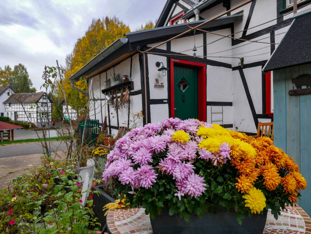 Außergewöhnliche Unterkünfte in der Eifel -  beim Sterneguide in Mechernich-Lückerath