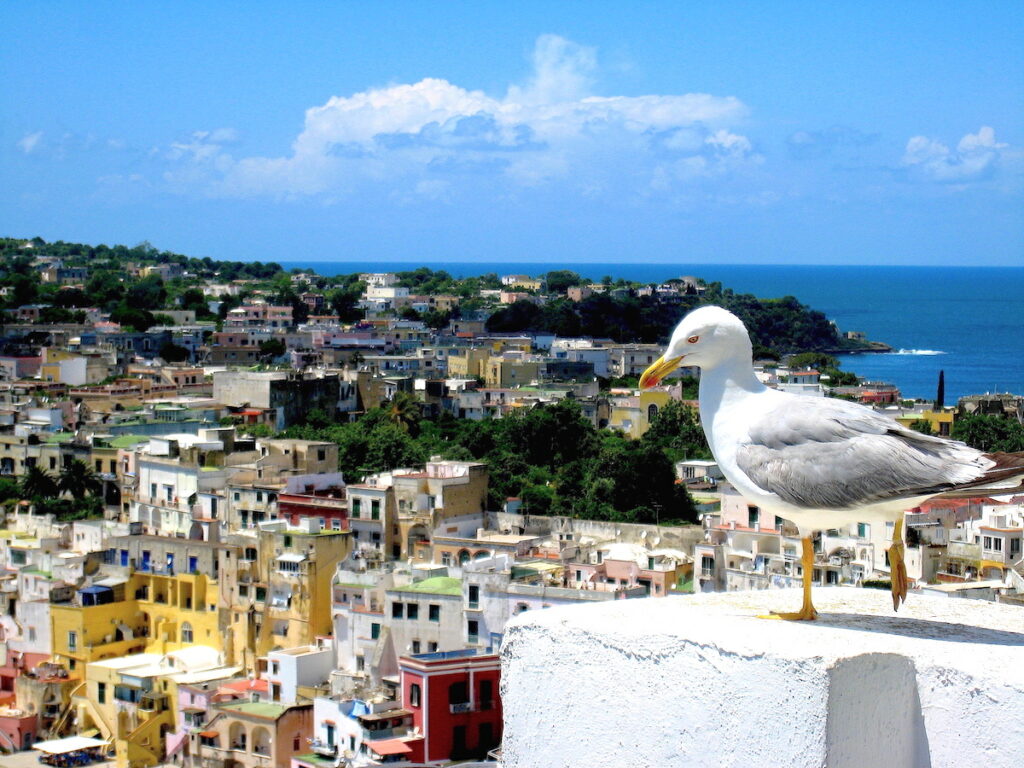 Geheimtipps in Italien - Procida