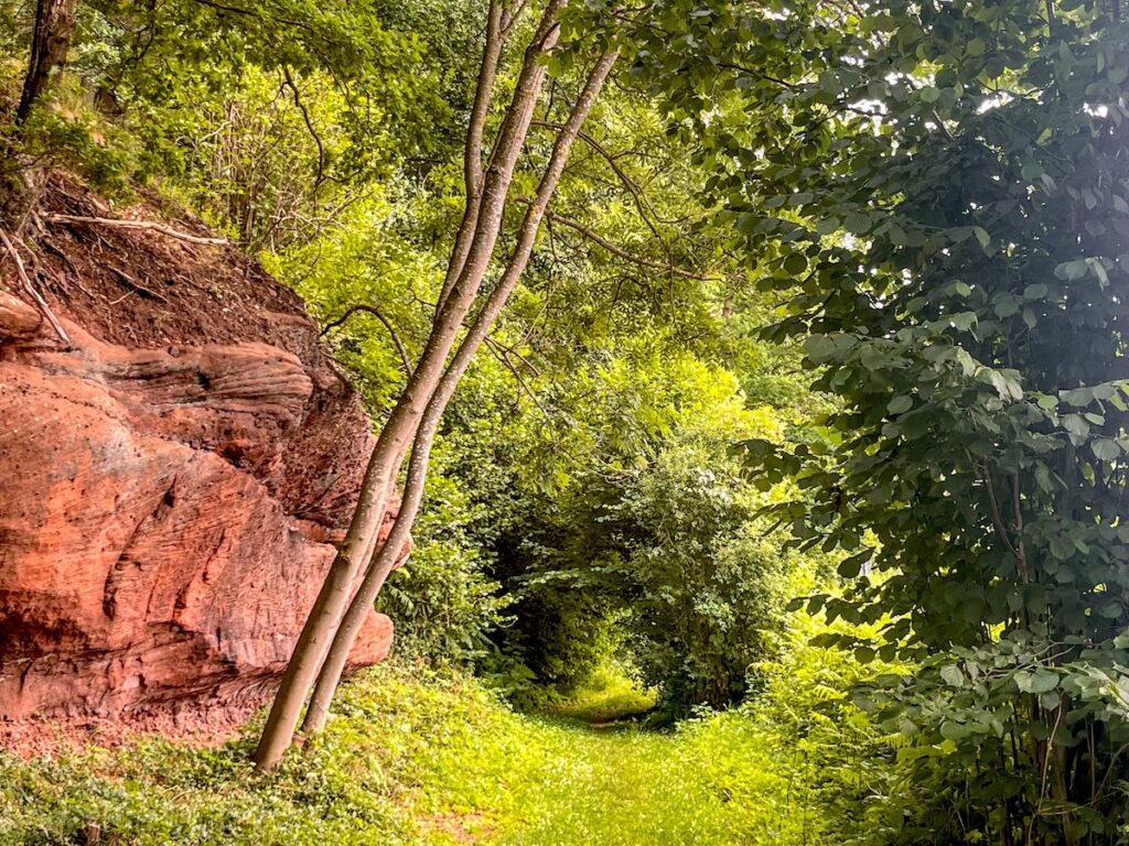 Der Pingenwanderpfad in Kall