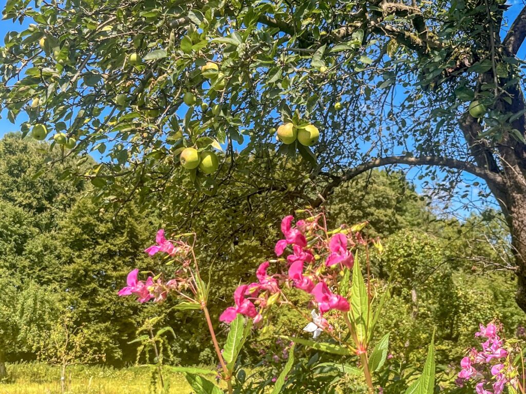 Romantische NRW-Spaziergänge im Gartenreich Schlebusch