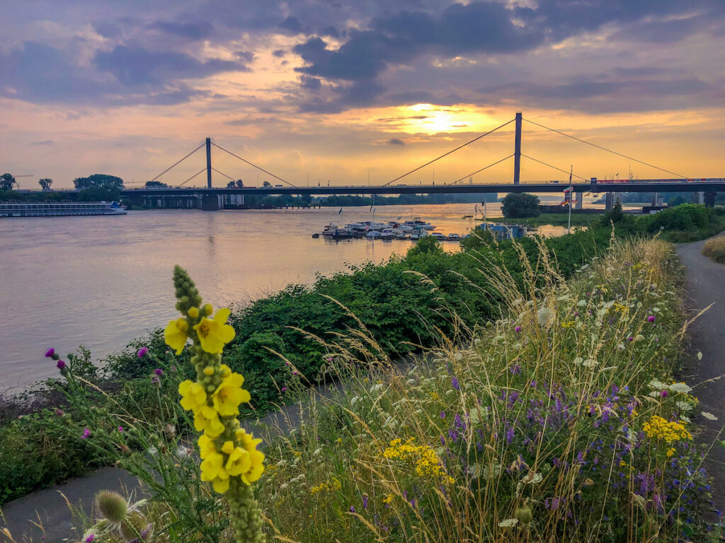 Geheimtipps für Leverkusen am Rhein