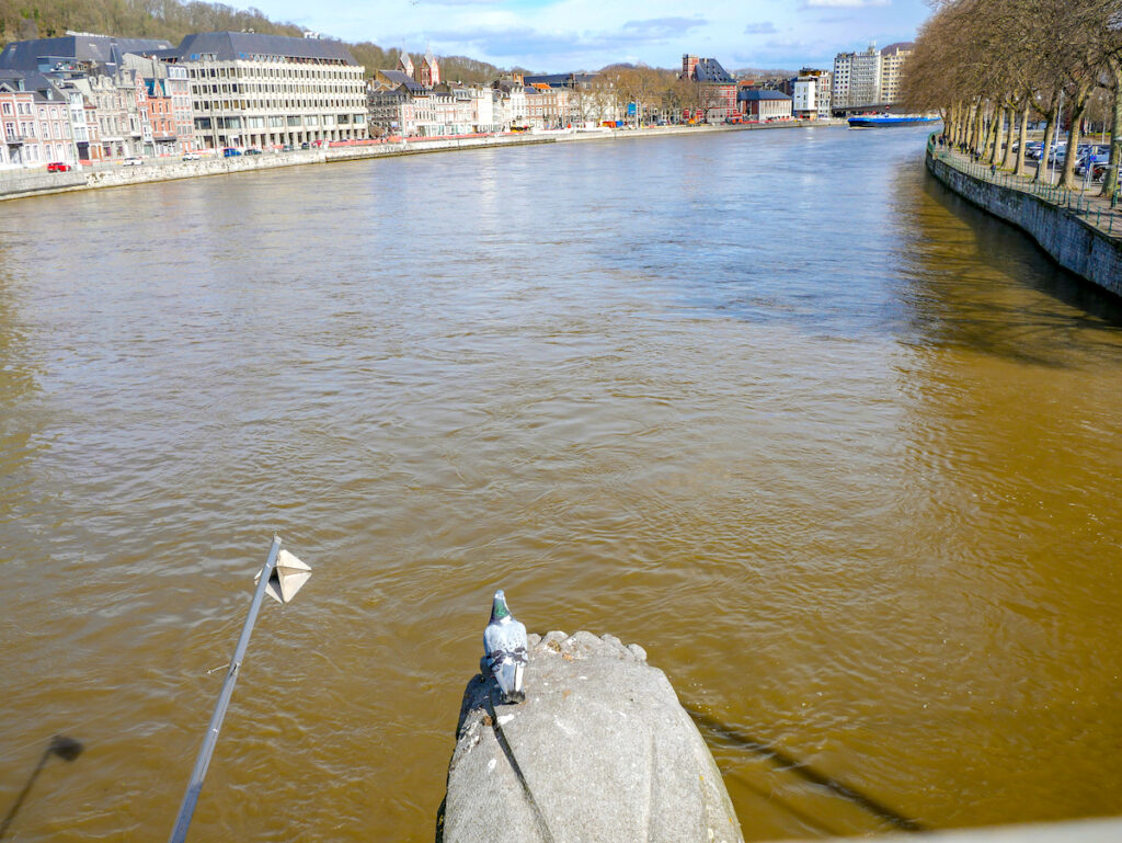 Blick von der Le Pont des Arches auf die Maas 