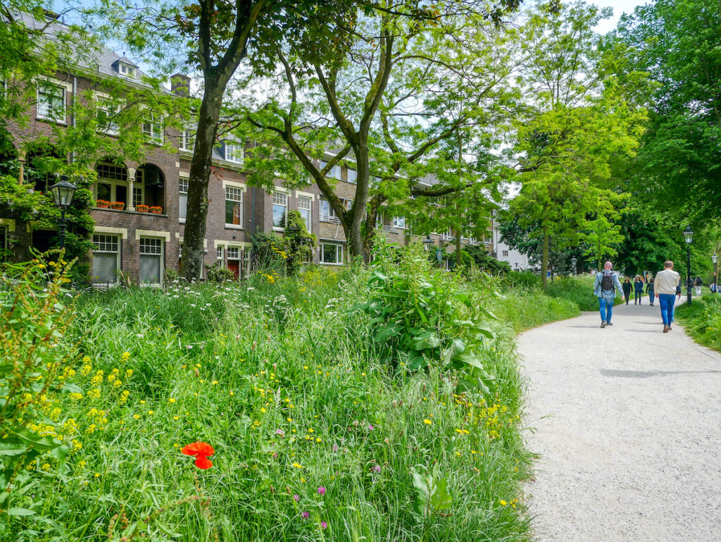 Tagesausflug nach Utrecht - Sehenswürdigkeiten und Geheimtipps