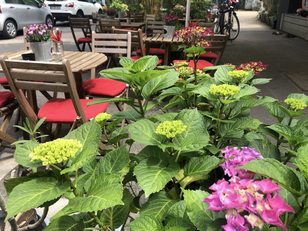 Frühstücken in Ehrenfeld - die neuesten und besten Cafés