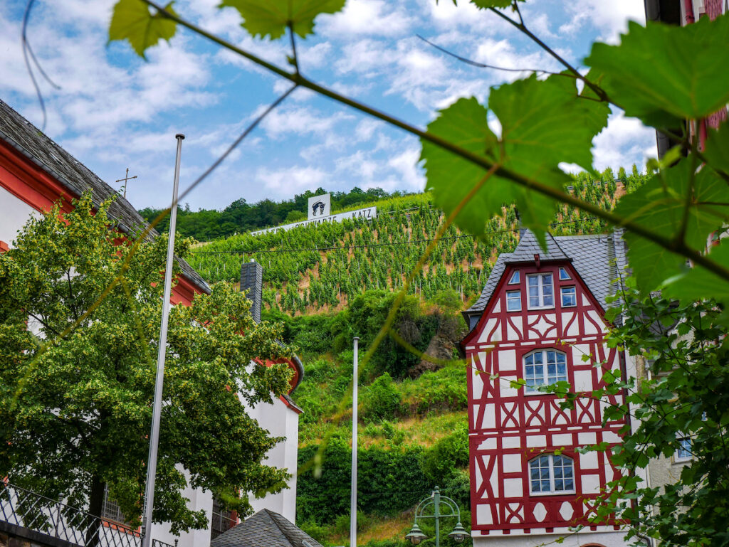Die schönsten Themenwanderwege in Cochem-Zell: der Themenweg „Zeller Schwarze Katz“ 