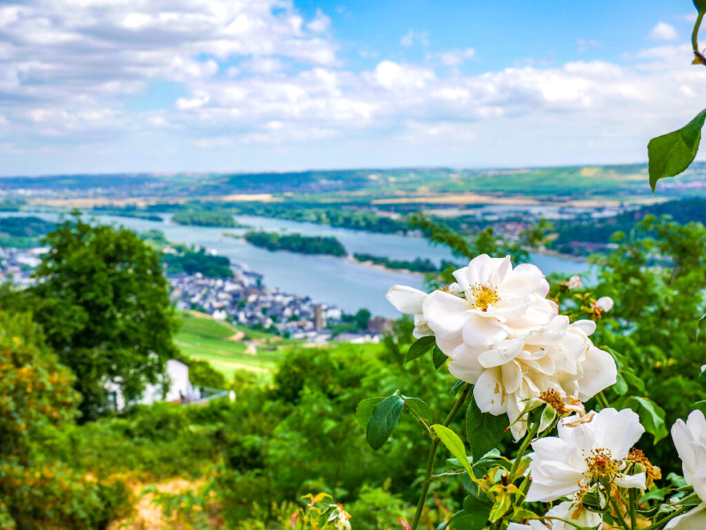 Rheingau Sehenswürdigkeiten - 17 Traumorte und Geheimtipps