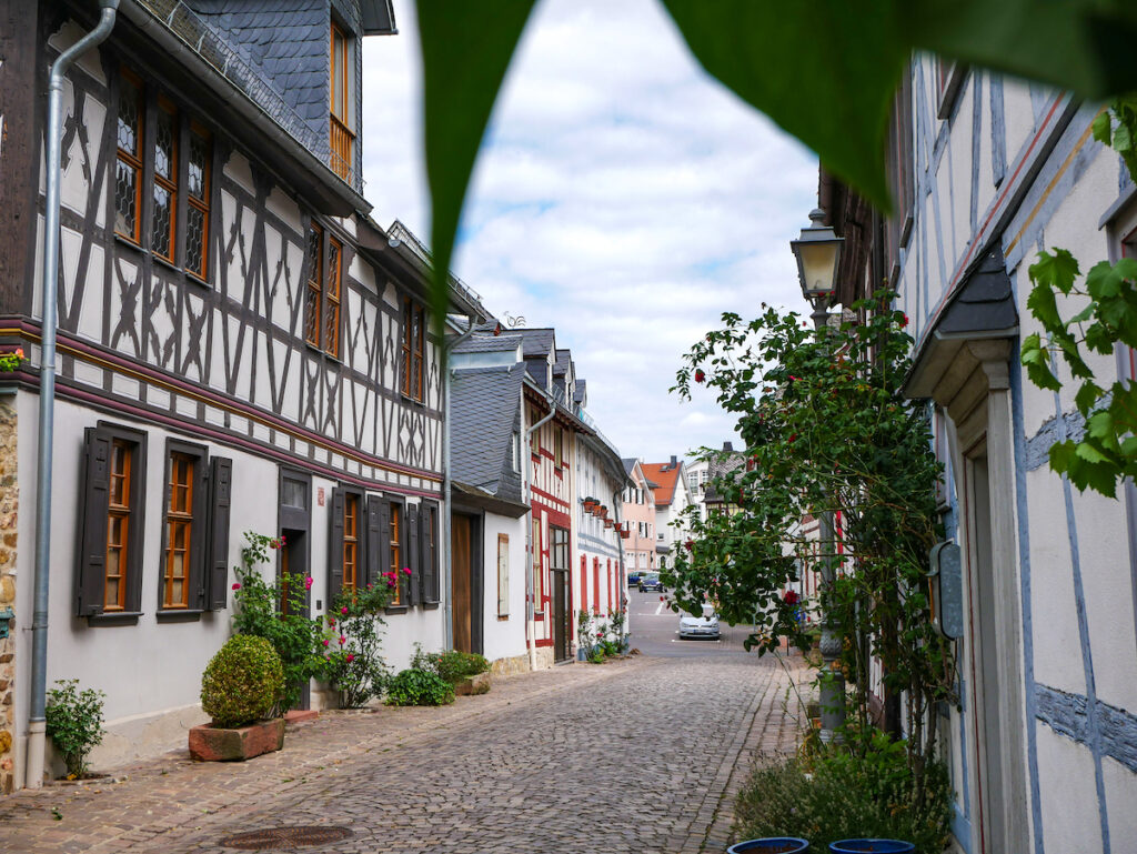 Rheingau Sehenswürdigkeiten 11 Traumorte und 3 Geheimtipps