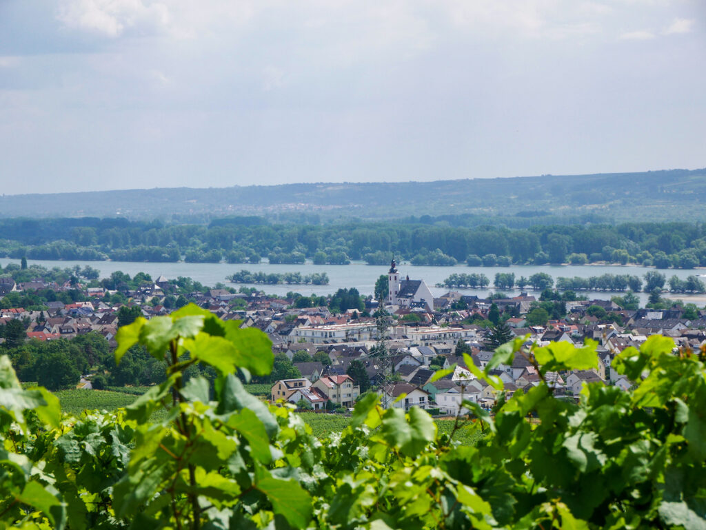 Der Goetheblick im Rheingau 