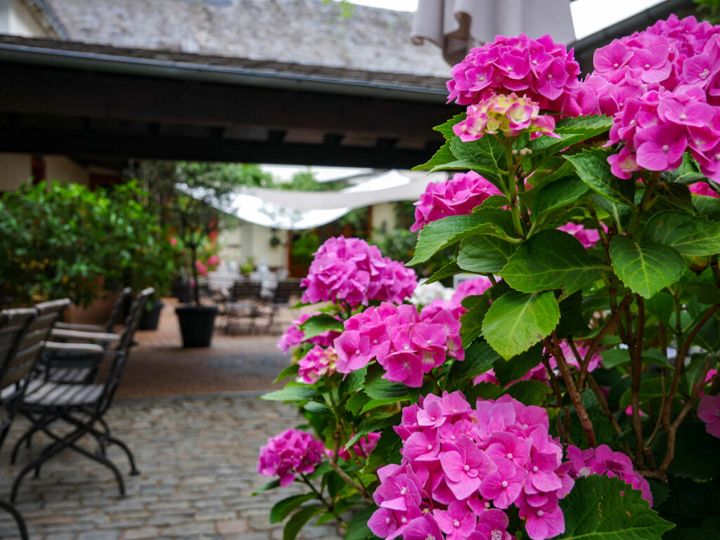 Geheimtipp im Rheingau – der Landgasthof Klostermühle