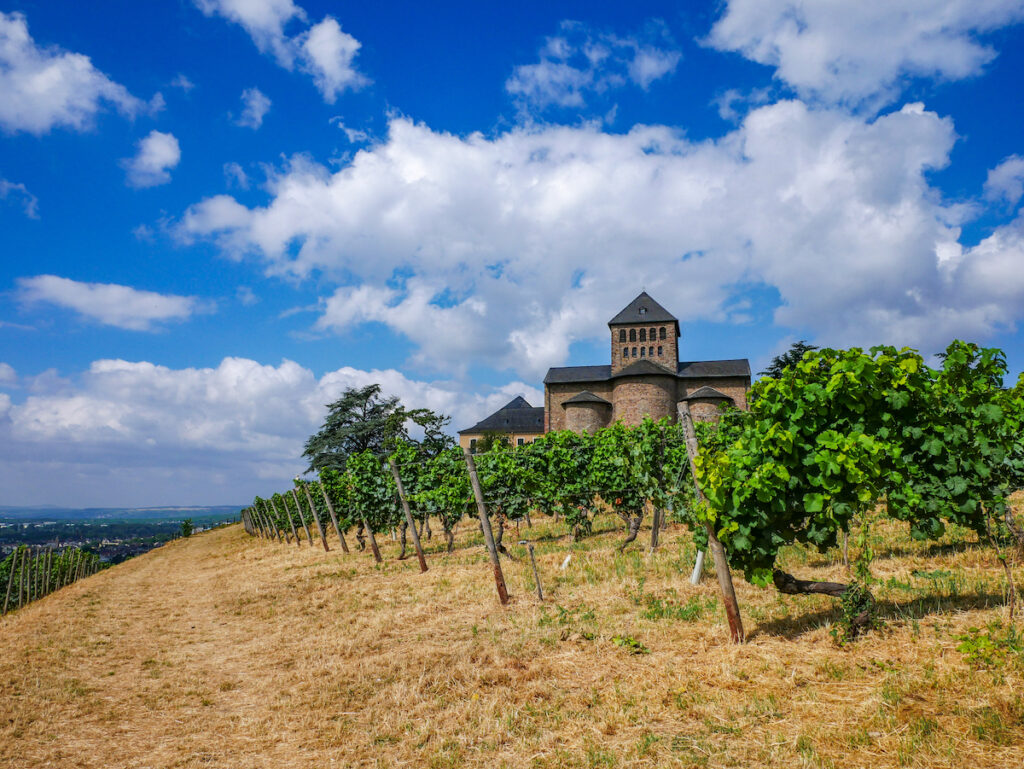 Wandern im Rheingau – der Klostersteig