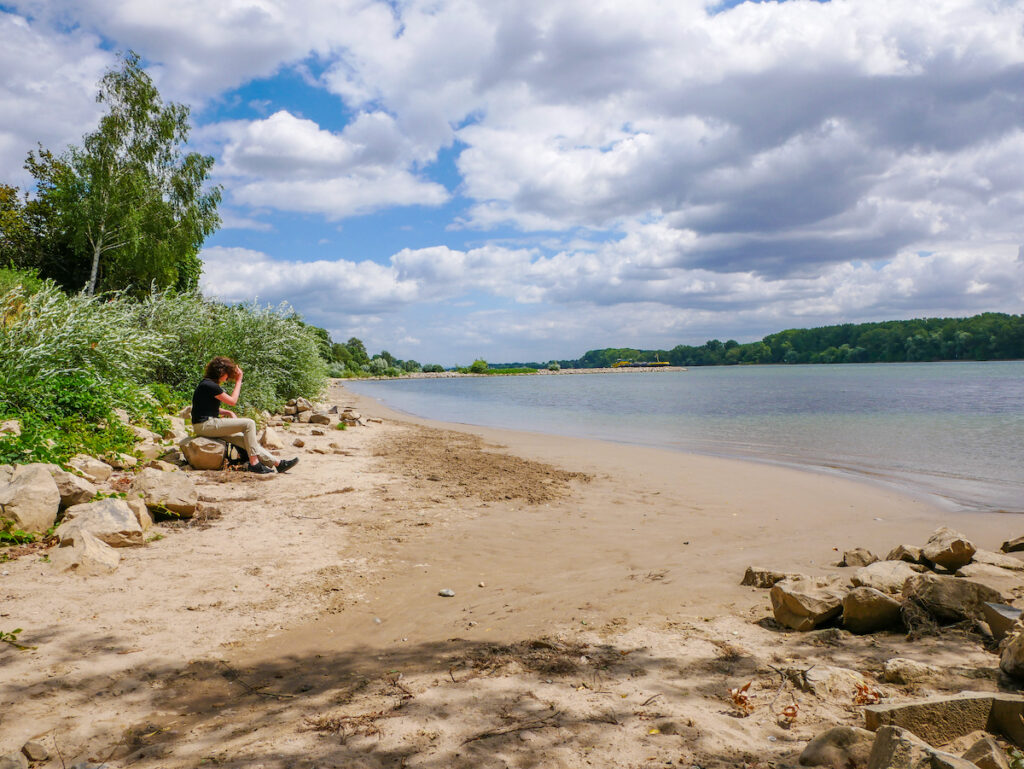 Naturstrände – „karibische“ Rheingau Sehenswürdigkeiten 