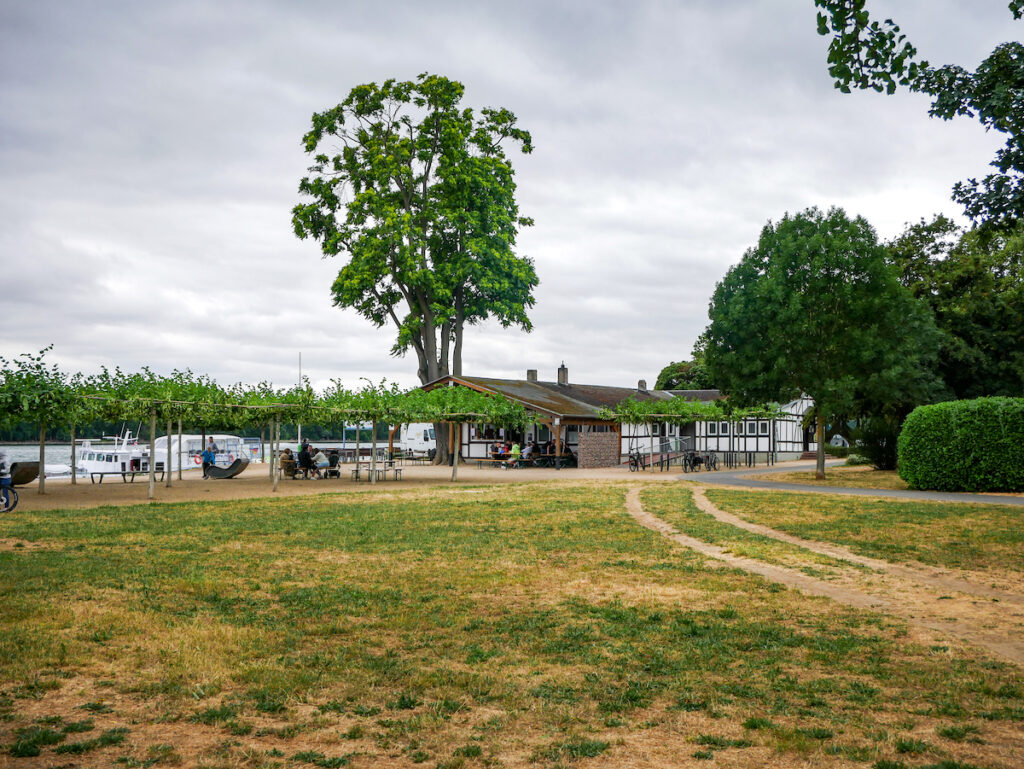 Im Rheingau gibt es 22 Weinprobierstände, die die örtlichen Weine ausschenken