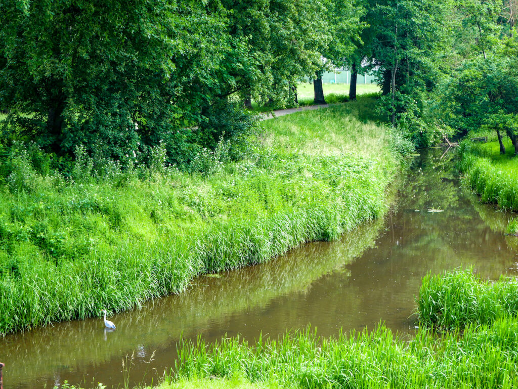 Geheimtipps am Wasser in NRW - Reiher in Kalkar