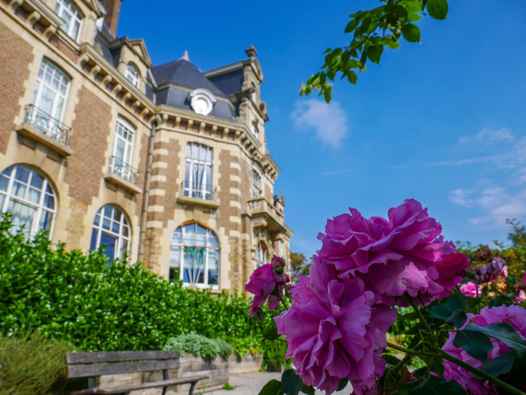 Rosen vor dem Schloss in Namur