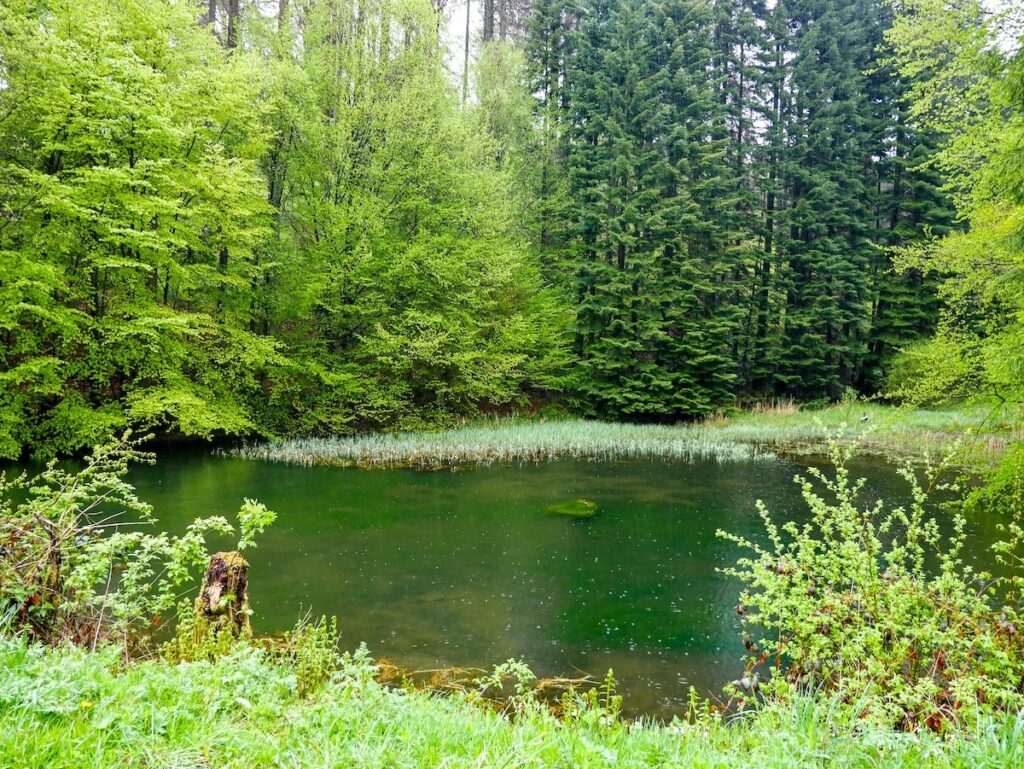 Das Bergische Land ist wasserreich: hier die Genkeltalsperre