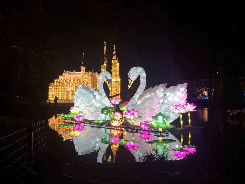 China Lights Festival im Kölner Zoo eines der schönsten Wintererlebnisse in NRW