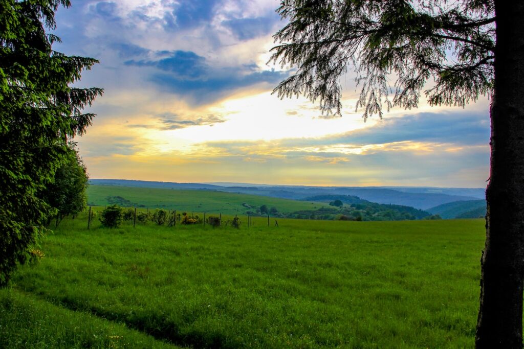 Sonnenuntergang im Nationalpark Eifel
