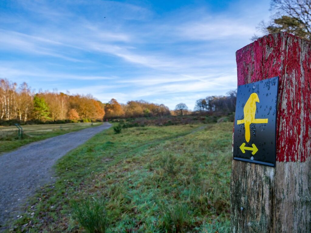 Spaziergänge durch die Wahner Heide – der Geisterbusch und sein Emblem