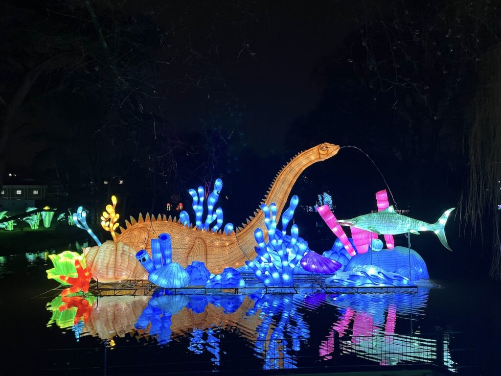 Nachts im Kölner Zoo