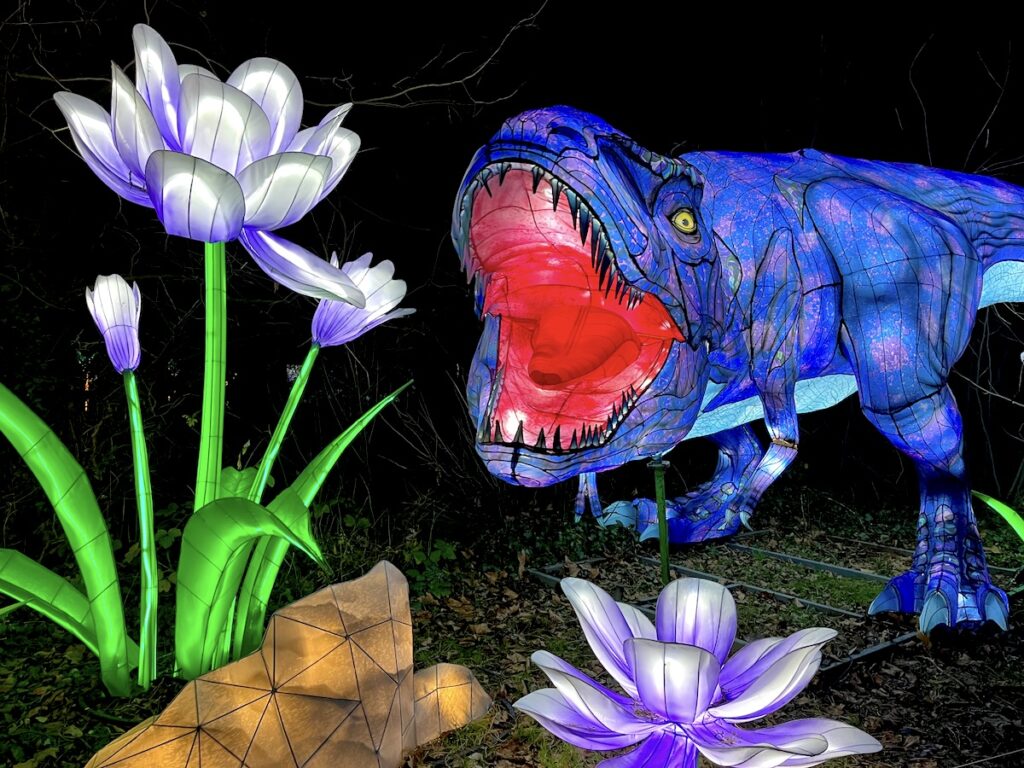 Top 10 der schönsten Wintererlebnisse in NRW - das Lichterfestival im Kölner Zoo