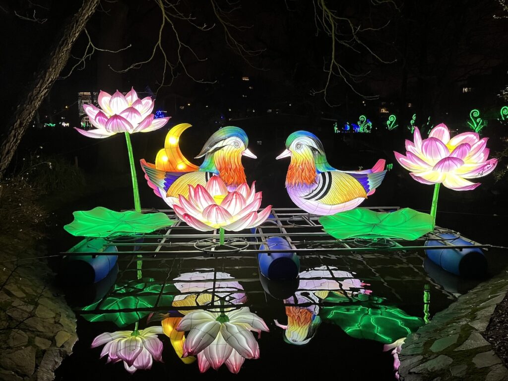 Die schönsten Wintererlebnisse in NRW führen auch zum China Lights Festival im Kölner Zoo