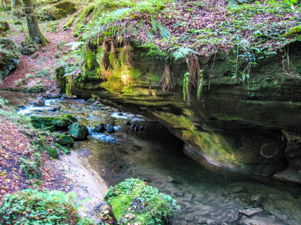 Tagesausflug nach Luxemburg - Kurztrip ins Mullerthal