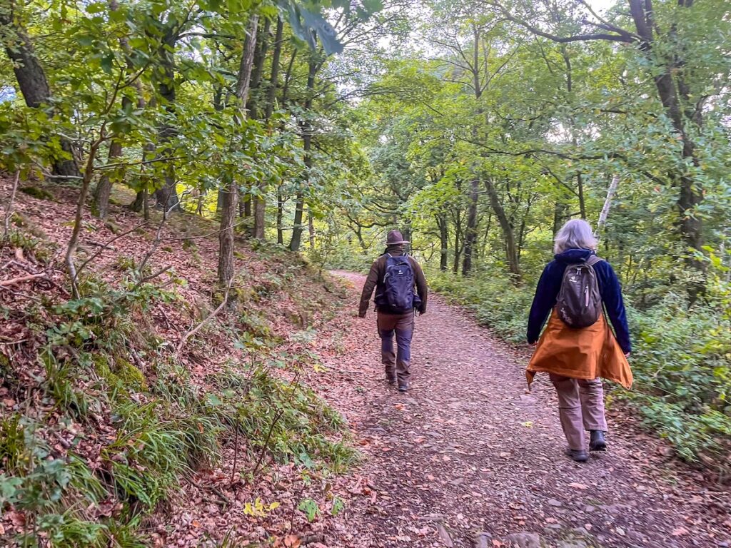 Karnevalsflucht – schöne, narrenfreie Zonen finden Ausflügler bei den Rangertouren im Nationaloark Eifel