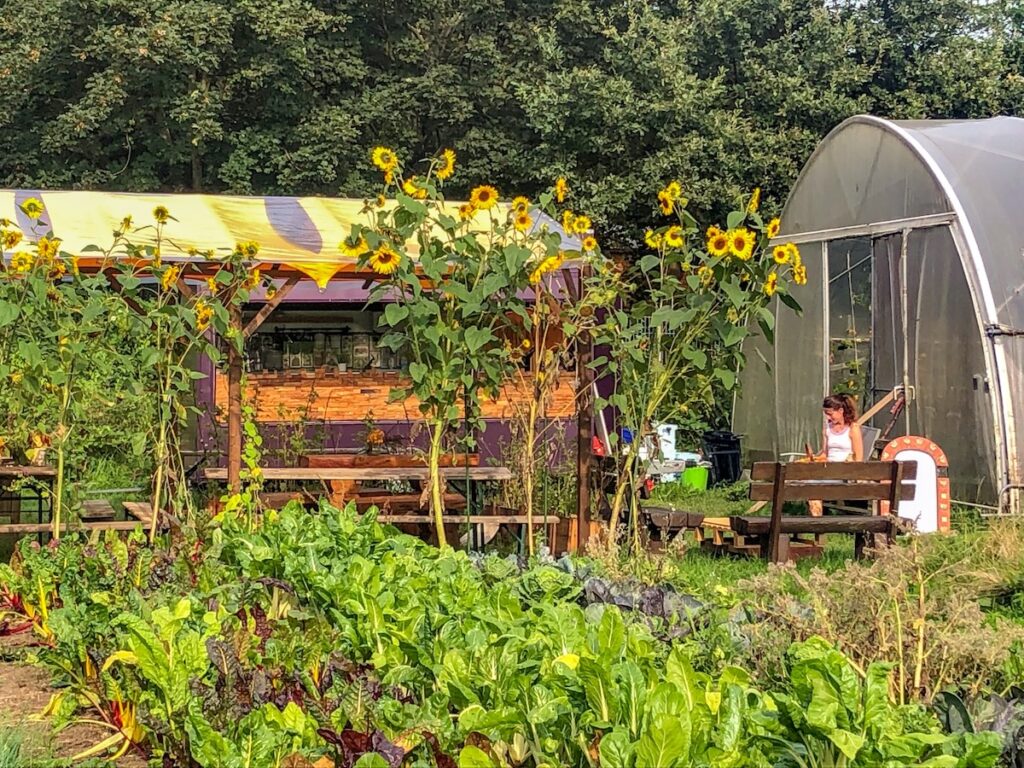 Die schönsten Gärten in NRW - die Bonnekamphöhe in Essen 