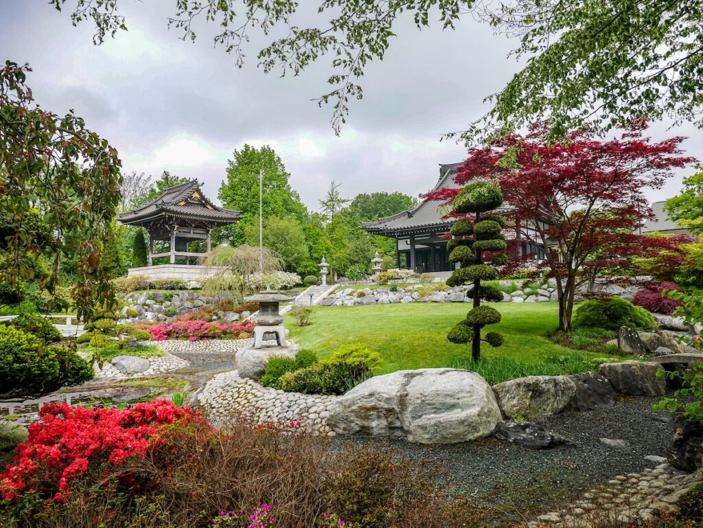 Düsseldorf Geheimtipp - das EKO Haus mit seinem japanischen Tempelgarten