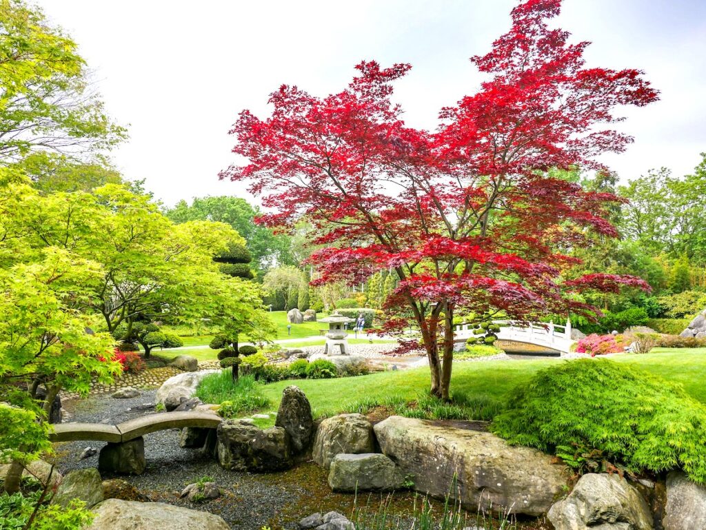 Der japanische Tempelkarten des EKO Hauses in Düsseldorf