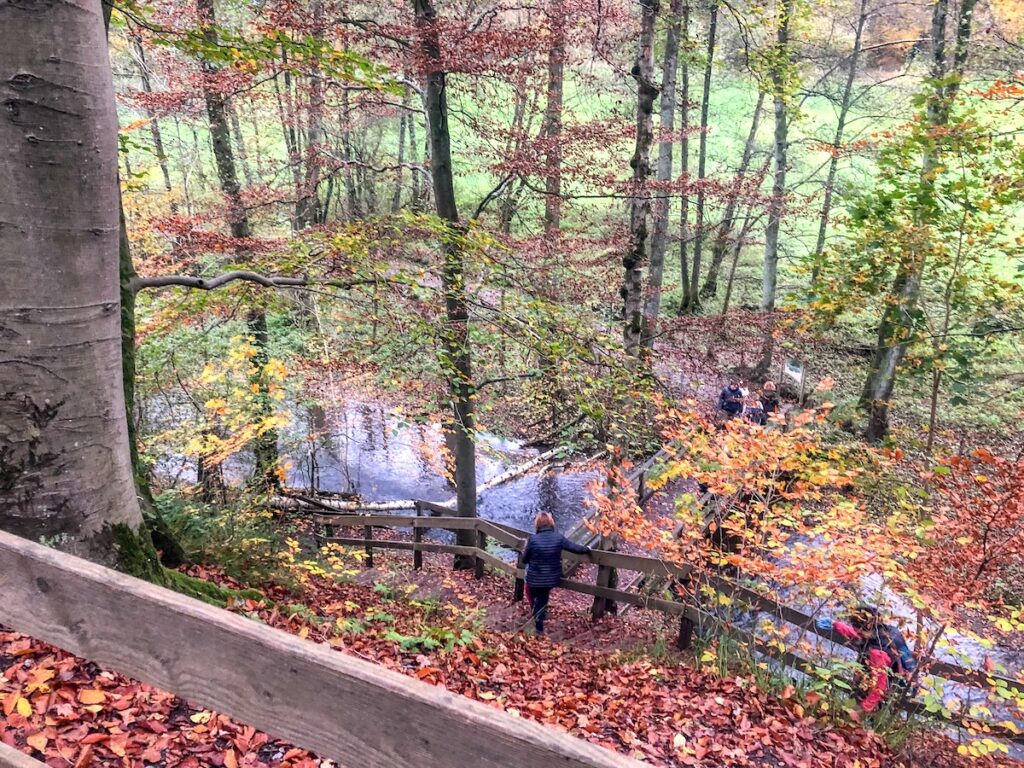 Düsseldorfs Naherholungsgebiet - das Neandertal