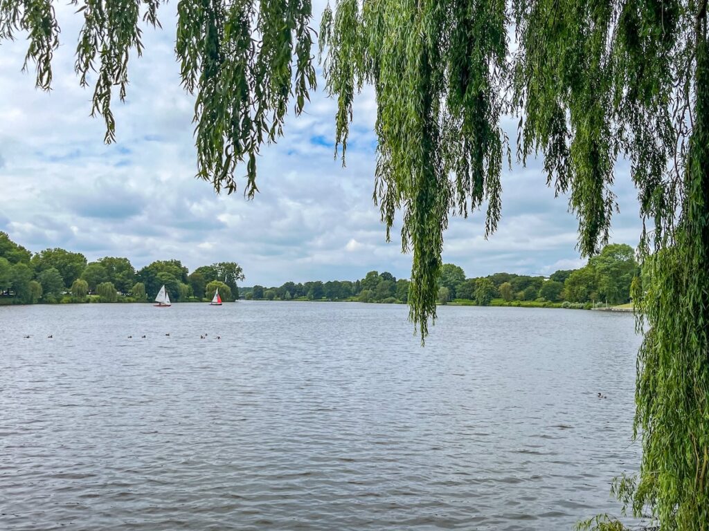 Die schönsten Badeseen in NRW - der Aasee in Münster zählt aktuell aufgrund der schlechten Wasserqualität nicht dazu