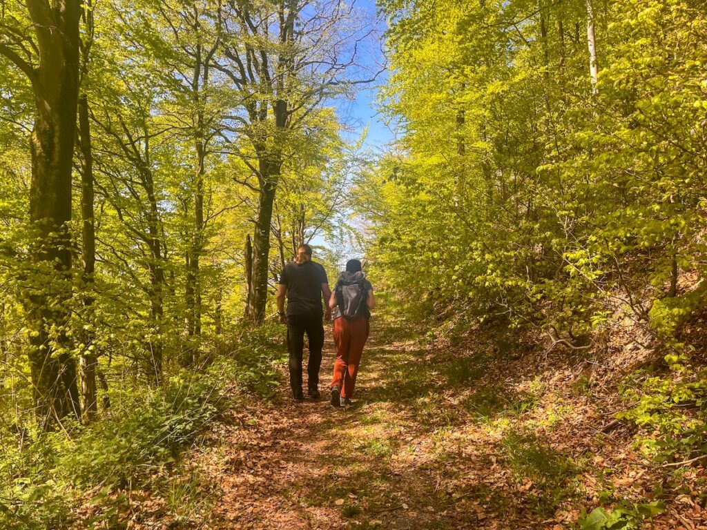 Die Sauerland-Wanderdörfer bieten die schönsten Touren
