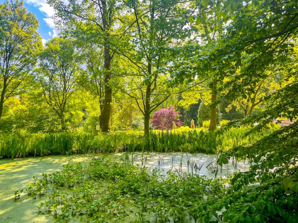 Spektakulärer Botanischer Garten Bochum