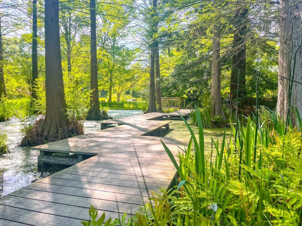 Der Botanische Garten Bochum – kostenloses Kleinod im Ruhrgebiet