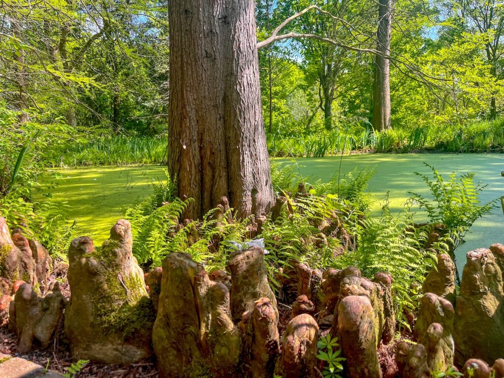 Der Botanische Garten Bochum ist ein Kleinod